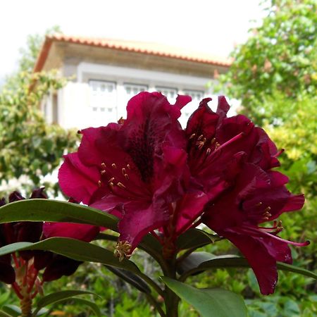 Quinta Do Bento Novo - Casa De Campo - Turismo Rural Viana do Castelo Exterior photo